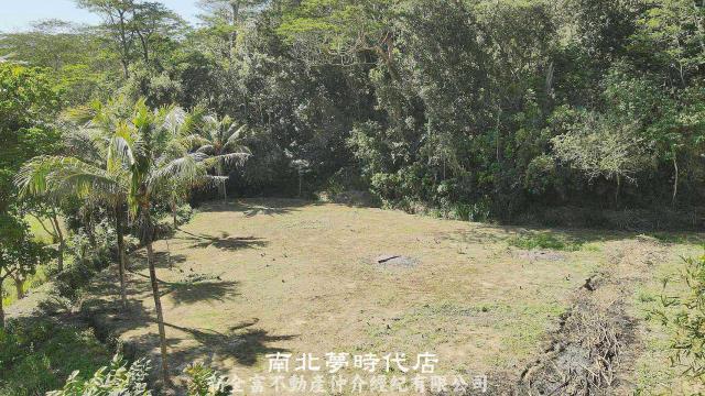 台南新化農地-4