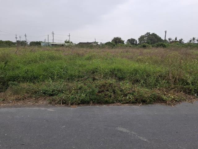 新市農地-7