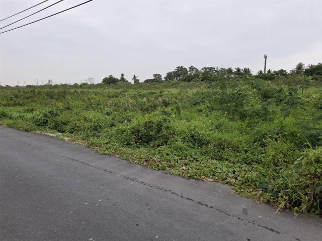 台南新市農地-8