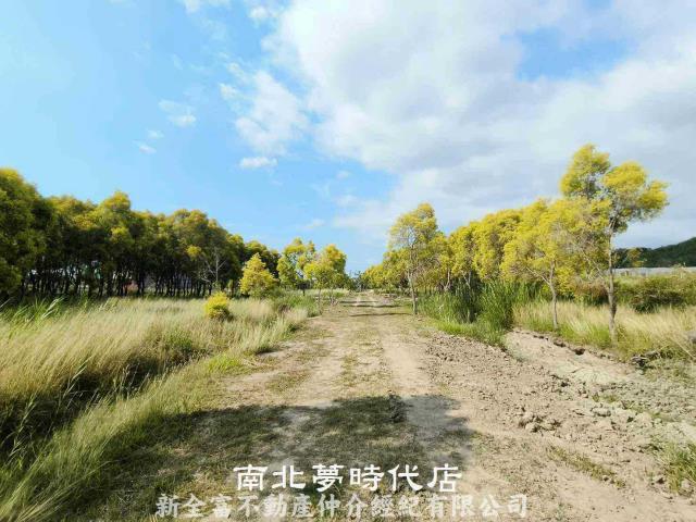 六甲農地-9