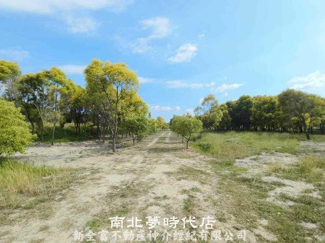 六甲農地-2