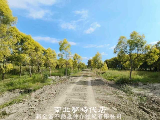 六甲農地-4