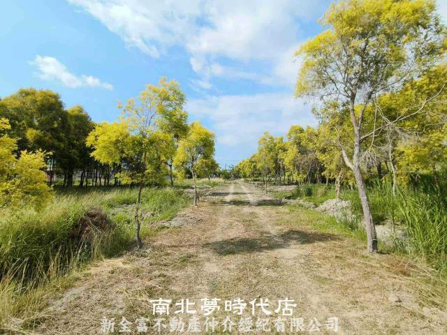 六甲農地-5
