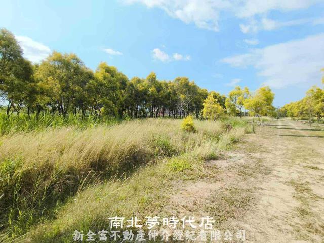 六甲農地-6