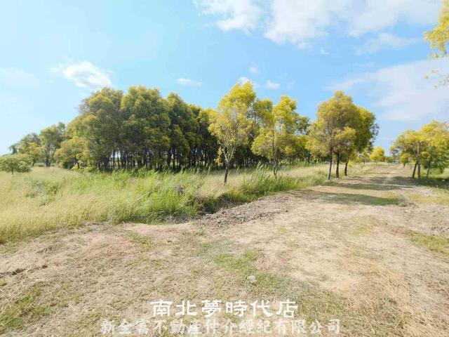 六甲農地-7
