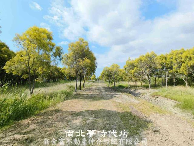 六甲農地-8