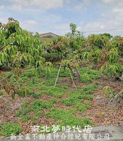 台南建地-0