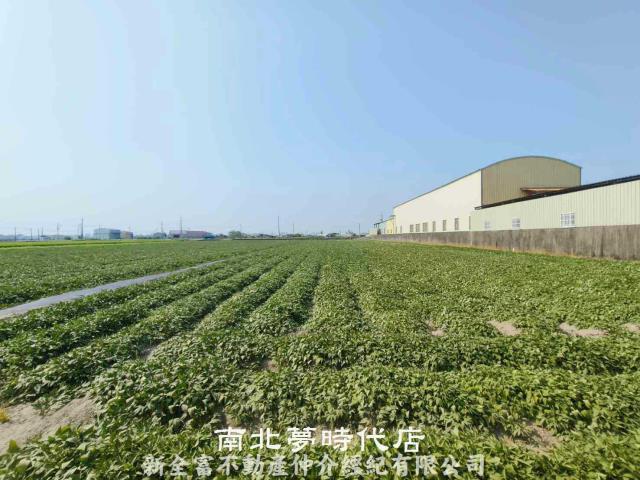 新市農地-1