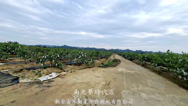 高雄燕巢農地-5