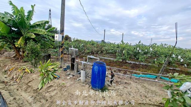 高雄燕巢農地-7