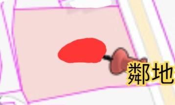 台南新市農地-7