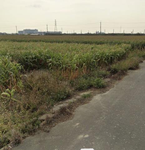 台南新營農地-3