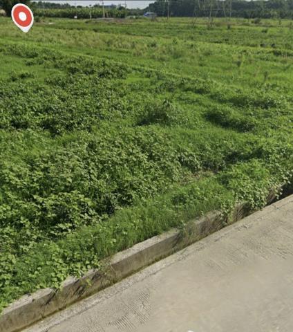 台南官田農地-2