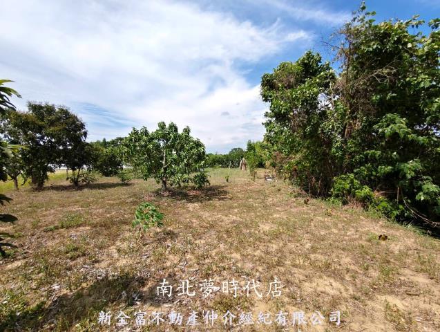 玉井農地-9