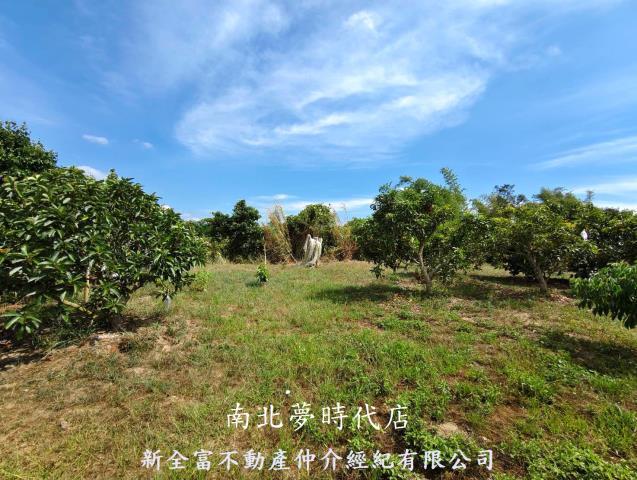 玉井農地-0