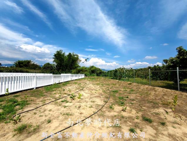 玉井農地-3