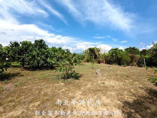 玉井農地-4