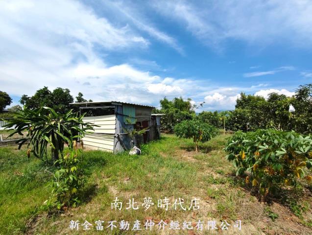 玉井農地-5