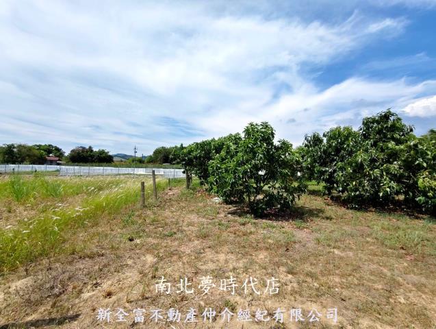 玉井農地-7