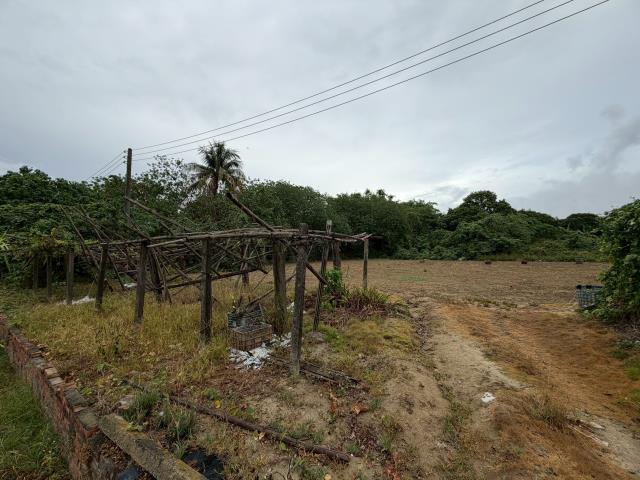 高雄路竹農地-1