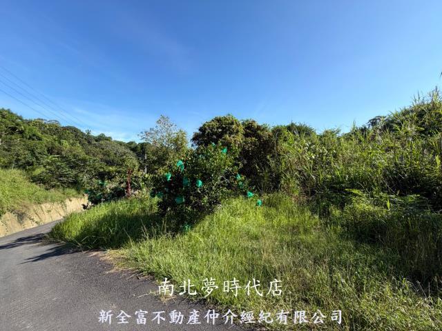 新化林地-5