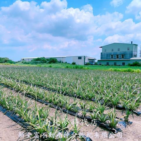山上農地-6