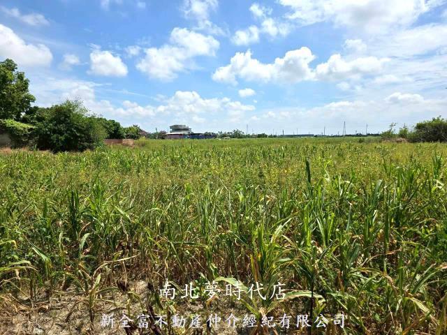 佳里農地-9