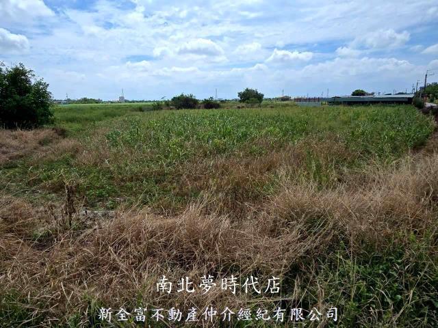 佳里農地-0